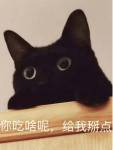 洛天依家的猫先生提不起劲